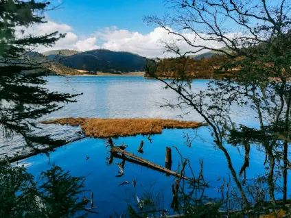 واجون بيت كازينو تطبيق الهاتف المحمول